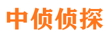 新龙市私家侦探